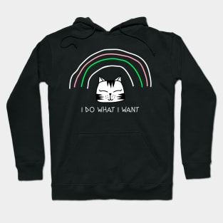 I Do What I Want Sarcastic Cat Lover Gift Funny Cat Hoodie